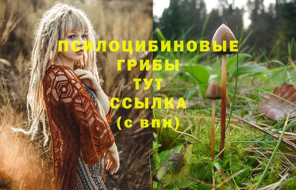 мет Абаза